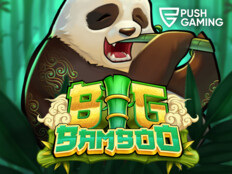 Wild casino free bonus83